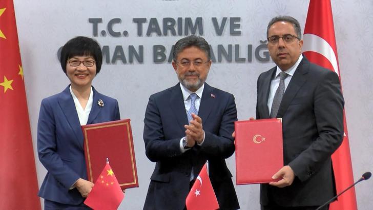 Türkiye ile Çin arasında defne ihracatı protokolü