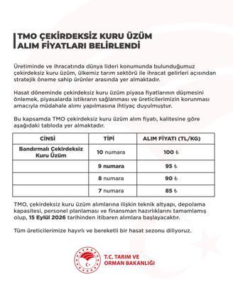 TMO'nun çekirdeksiz kuru üzüm alım fiyatı belirlendi
