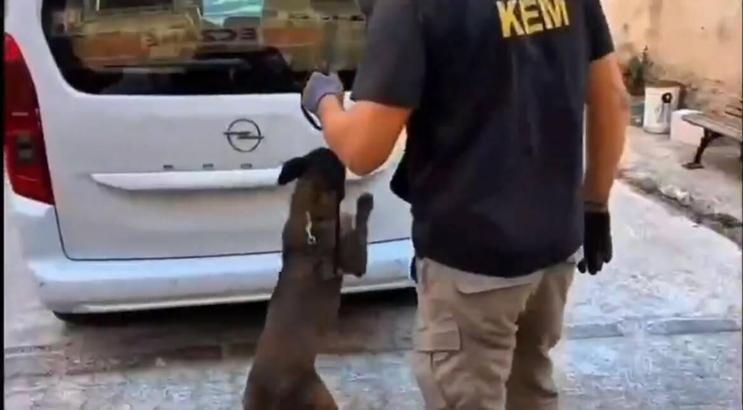 Balıkesir’de 109 bin adet sentetik ecza hapı ele geçirildi