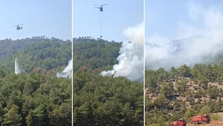 Kozan'da orman yangını