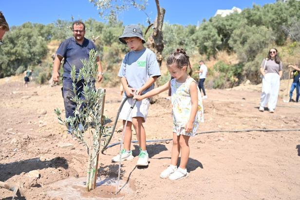 Gemlik’te zeytin fidanları toprakla buluştu, zeytinli tatlar sofraları süsledi