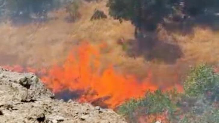 Tunceli’de örtü yangını