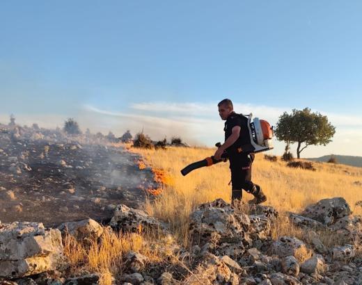 Mardin'de çıkan örtü yangını söndürüldü