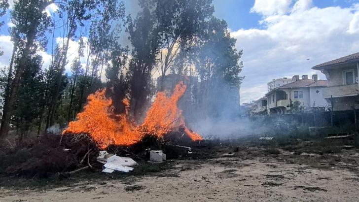 Çorlu’da çam ağaçları yangında zarar gördü