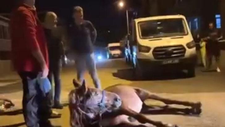 Ata şiddet uygulandığı iddiası; 2 şüpheli gözaltında
