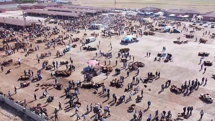 Ağrı Hayvan Borsası 30 gün süreyle kapatıldı
