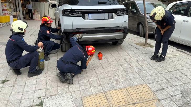 Avcılar’da cipte sıkışan kediyi itfaiye kurtardı