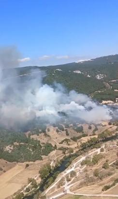 Balıkesir'de orman yangını