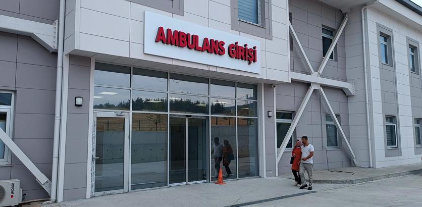 Yılanın ısırdığı çiftçi hastaneye kaldırıldı