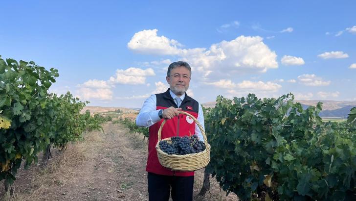 Bakan Yumaklı: Bu sene 3 milyon 850 bin tonluk bir üzüm üretimi gerçekleşecek