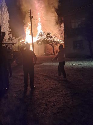 Besihanedeki yangında 4 inek öldü