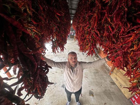 Edirne tava ciğerinin vazgeçilmezi Karaağaç biberinde kurutma dönemi