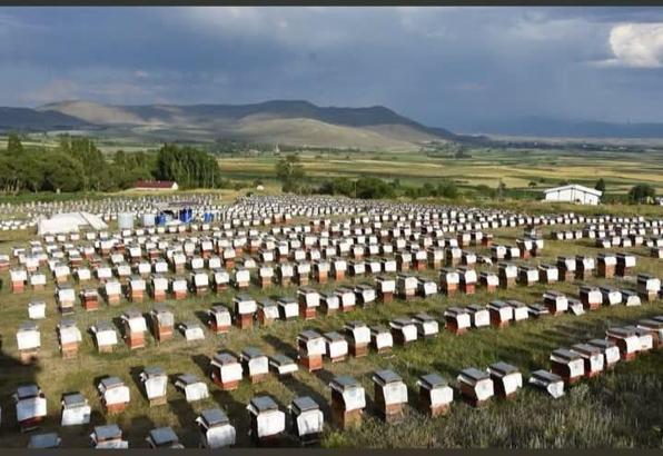Ordu’da 223 projeye 176,7 milyon liralık hibe desteği