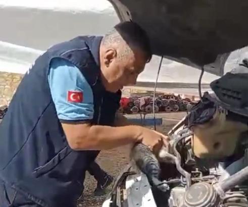 Minibüsün motoruna sıkışan yavru kedi kurtarıldı