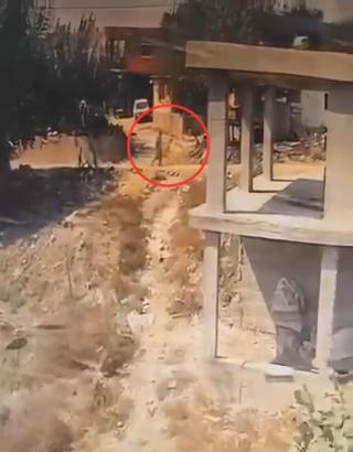 İnşaatta yatan köpeğe sopayla şiddet uyguladı; o anlar kamerada