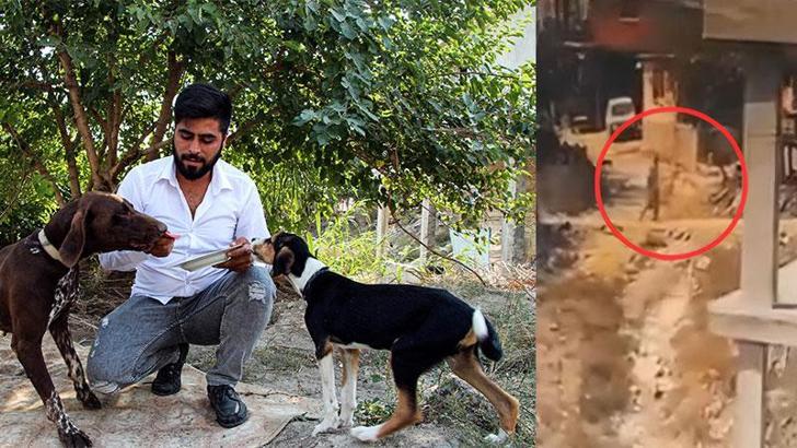 Komşusunun köpeğine, tavuklarını yediği için şiddet uygulamış