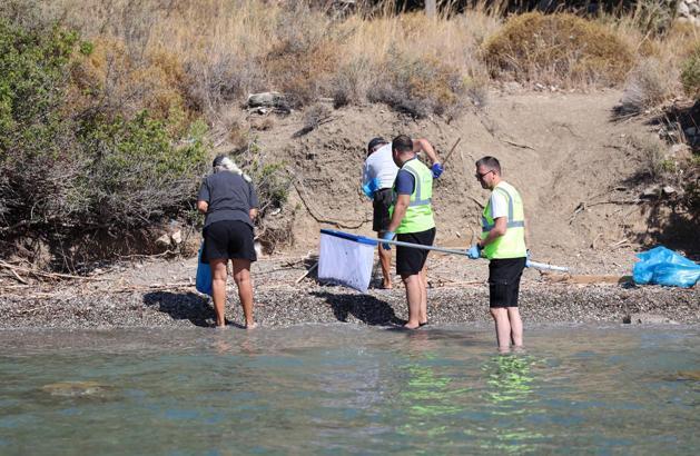 Muğla'da plastik atıklara karşı kıyılarda ortak mücadele