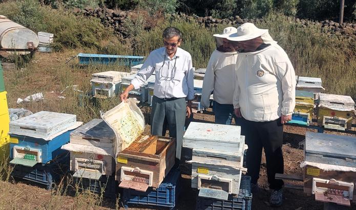 Arıcılara can suyu