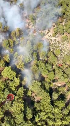 Antalya'da orman yangını (2)