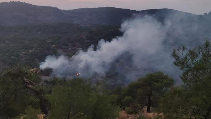 Gaziantep’te orman yangını; 4 dönüm alan zarar gördü