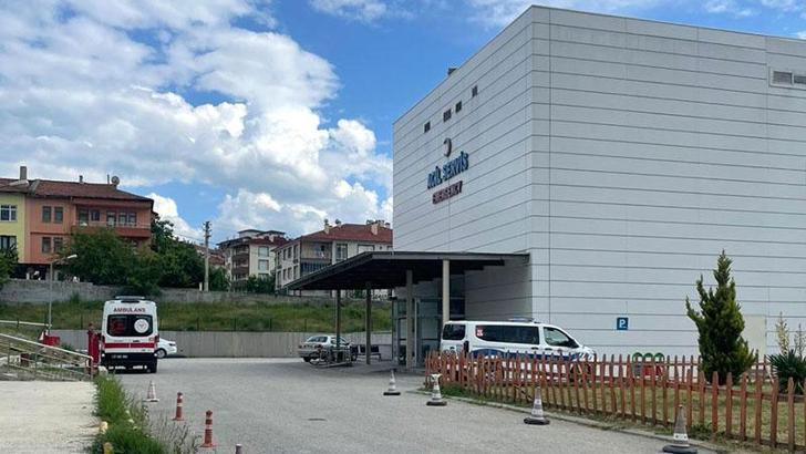 Kastamonu'da orman işçisi, arı sokması sonucu öldü