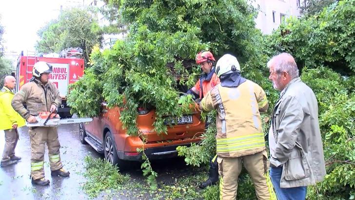 Kadıköy’de park halindeki otomobilin üzerine ağaç devrildi