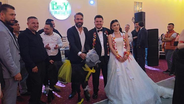 Adana'da düğünde gelin ve damada keçi hediye edildi