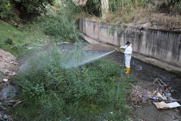 Hatay'da haşere ve vektör mücadelesi