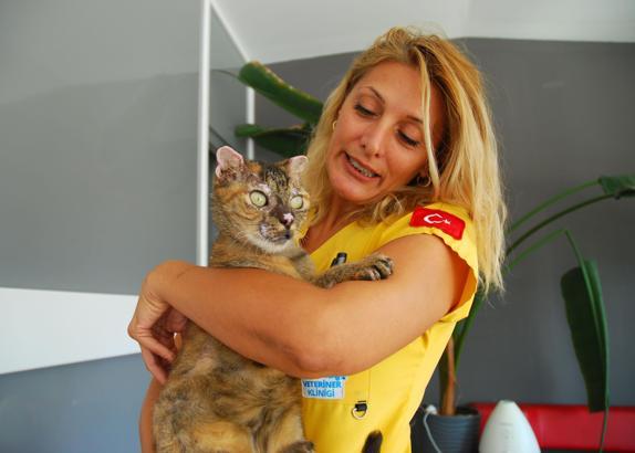 Orman yangınında vücudunun yüzde 40'ı yanan kedi 'Luna', yaşam savaşını kazandı