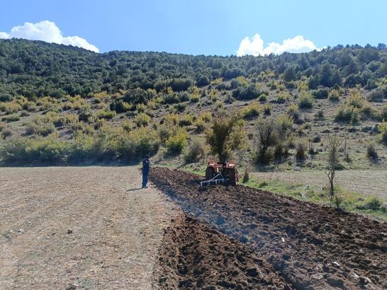 Tarla sürdüğü traktörün altında kalıp yaralandı