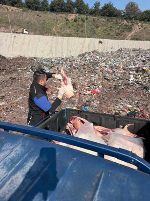 Sakarya’da durdurulan kamyonette 130 kilo hayvansal ürün ele geçirildi