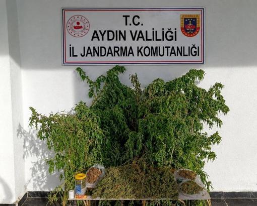 Evinde 3 kilo esrar ile yakalandı