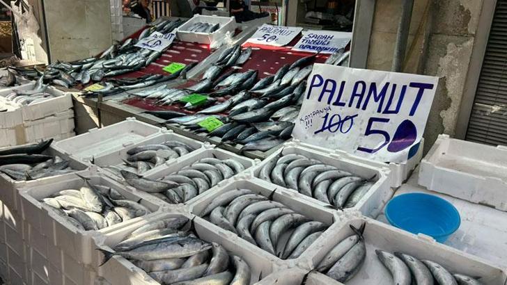 İnebolu’da palamudun tanesi 40 liraya kadar düştü