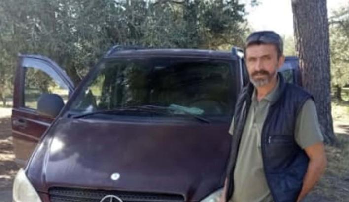 Zeytin toplarken arı soktu, hayatını kaybetti