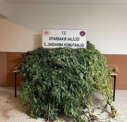 Diyarbakır’da uyuşturucu operasyonlarında 32 şüpheliye işlem yapıldı