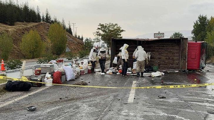 Bal ve arı kovanı yüklü kamyonet devrildi; 3 yaralı