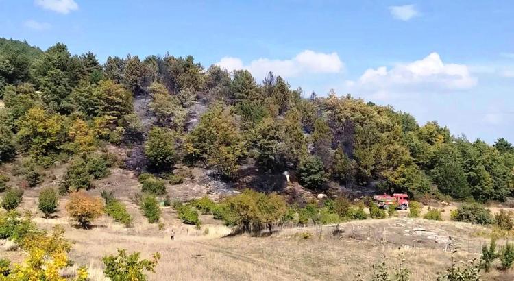 Kütahya’da ormana sıçrayan yangın söndürüldü