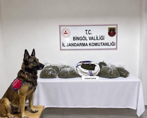 Bingöl’de 31 şüpheli hakkında işlem yapıldı