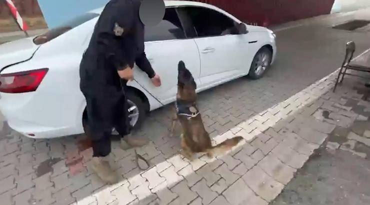 Siirt’te 5 kilo 600 gram skunk ele geçirildi; 4 gözaltı