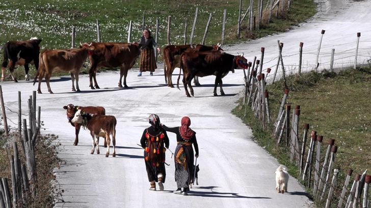 Trabzon’da, yaylacıların renkli dönüş yolculuğu / Ek fotoğraflar
