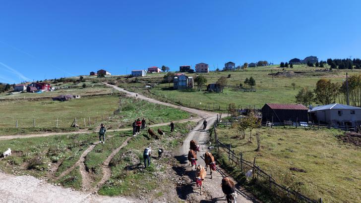Trabzon’da, yaylacıların renkli dönüş yolculuğu