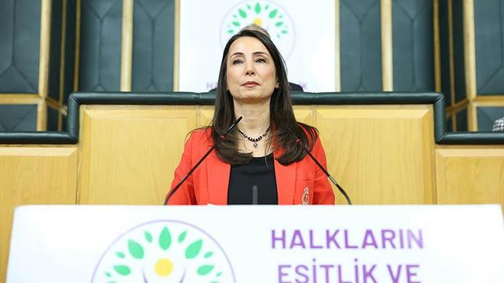 DEM Parti’li Hatimoğulları: Meclis’te komisyon kurulmalı