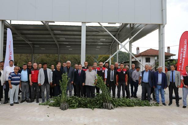 Muğla’da defne üretiminden 35 milyon lira gelir