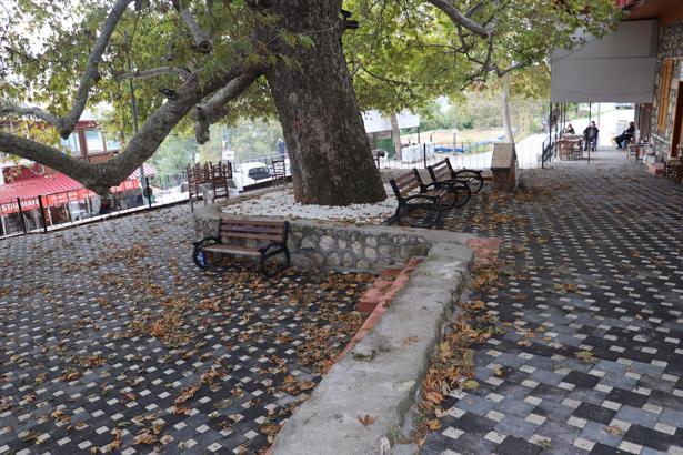Toroslar’da asırlık çınarın çehresi yenilendi