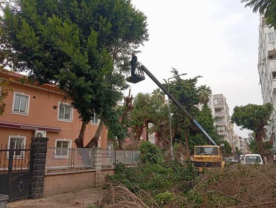 Akdeniz’in park ve yeşil alanları yenileniyor