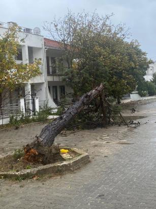 Tekirdağ'da fırtına; eğitim uçuşları iptal edildi, balıkçılar denize açılamadı (3)