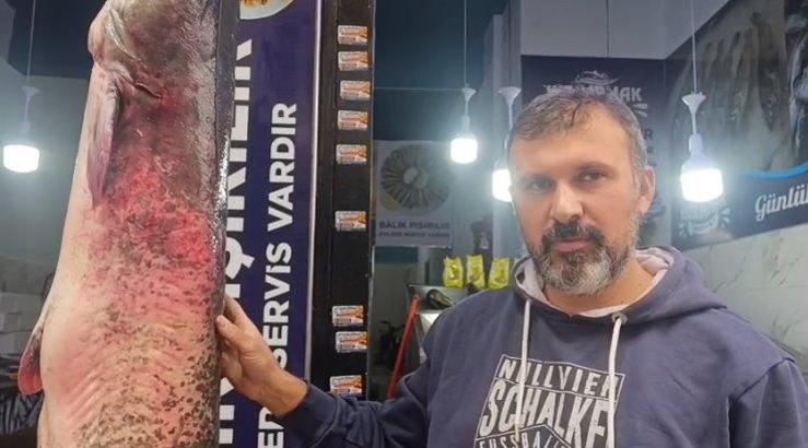 Kızılırmak'ta 1 metre 80 santim yayın balığı oltaya takıldı