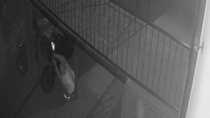 Bingöl’de motosiklet hırsızlığı şüphelisi tutuklandı