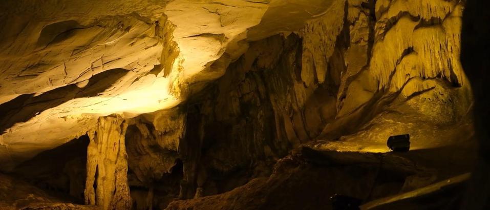 312 mağara ve 10 bin 963 anıt ağaç koruma altında
