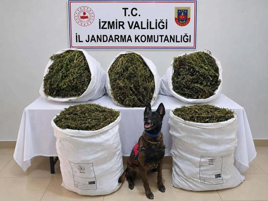İzmir'de 54 kilo 800 gram kubar esrar ele geçirildi: 3 tutuklama